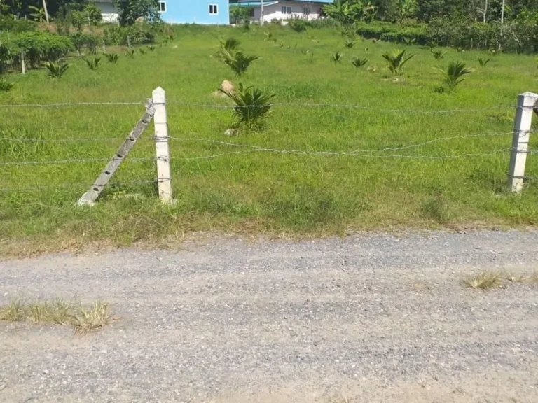 ขายที่ดินบ้านพรบางขาม ตศรีสุนทร อถลาง ภูเก็ต 1-0-56ไร่ 35ล้านบาท