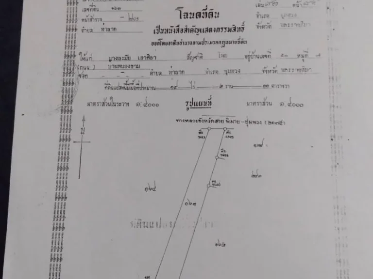 ขายที่ดินติดถนน ระหว่างพิมาย-ชุมพวง