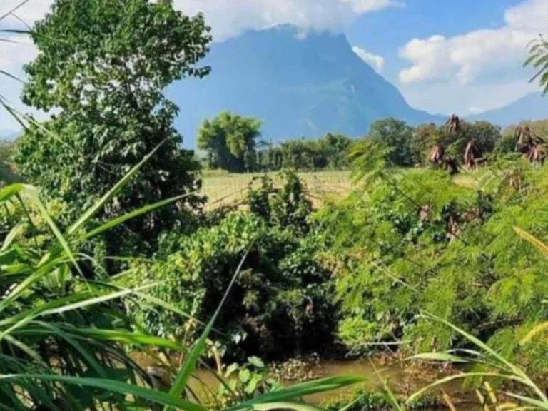 ขายที่สวนเชียงดาว ติดลำธาร วิวดอยหลวง โฉนดราคาถูก