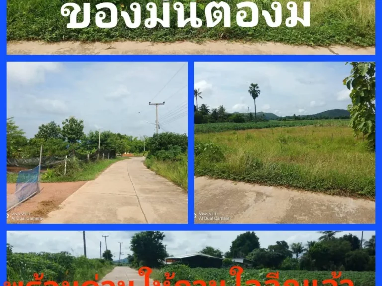 แปลงที่คุ้มค่า ให้ครอบครอง ครอบคลุม คุณสมบัติมีให้เต็มๆ คุ้มแน่คุ้มนานไปกับกาลเวลา คุ้มนี้มีคำตอบความแตกต่างอย่างลงตัว