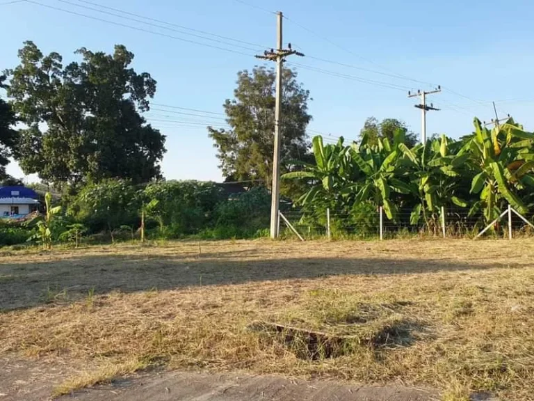 ขายที่ดินติดถนนห่างถนนหลักเพียง 100เมตร สันโป่งแม่ริม