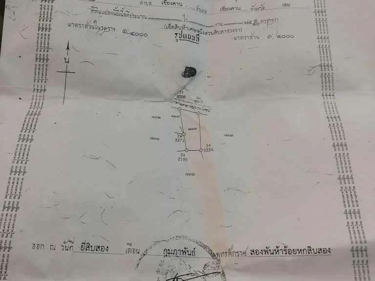 ขายที่โฉนดเชียงคาน ตรงข้าม ปตท เชียงคาน