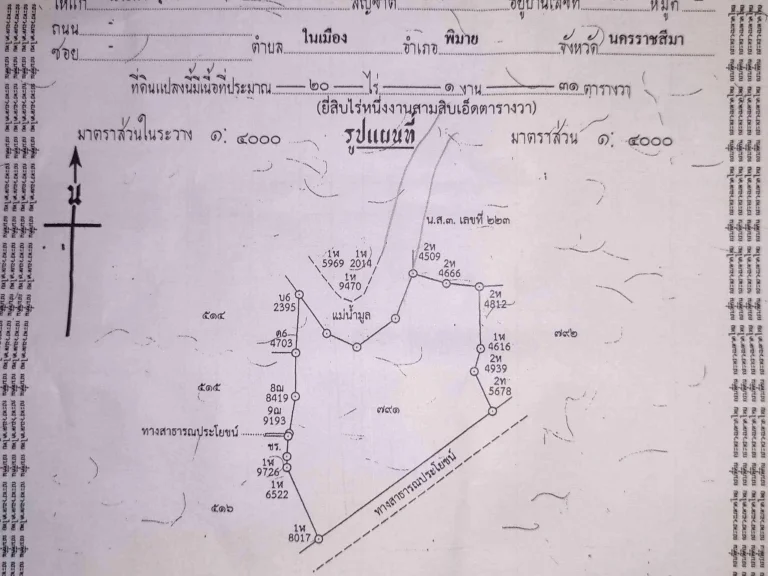 ขายที่ดินด่วน ใกล้ไทรงาม อพิมาย