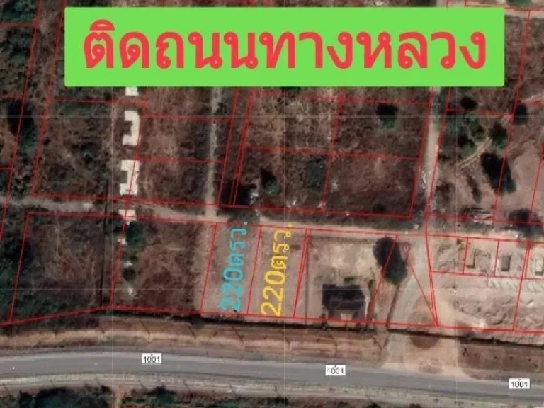 L137ขายที่ดิน 220ตรว วิวเขาสวย ติดถนนลาดยาง1001 เหมาะทำบ้านพูลวิลล่า บ้านพัก