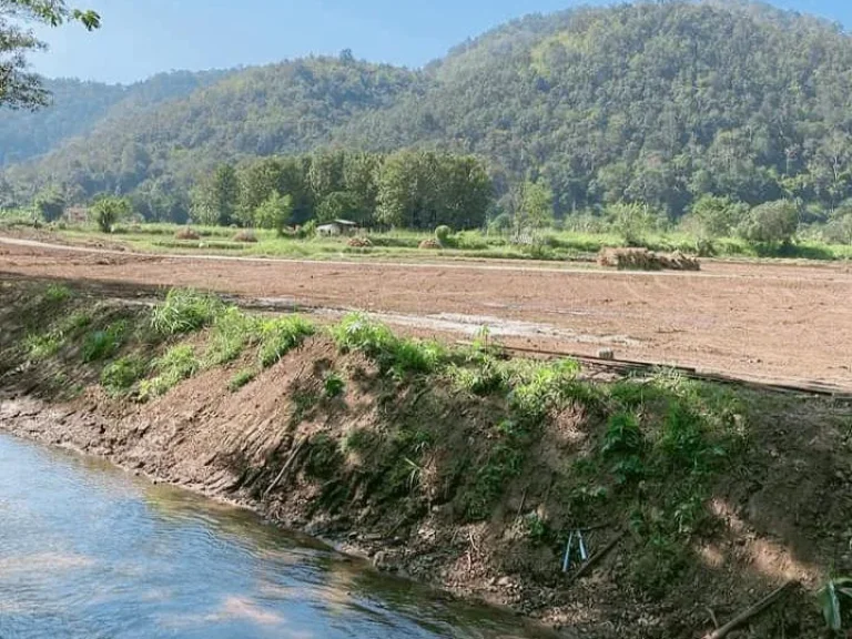 ขายที่ดินติดน้ำ วิวทุ่งนา วิวภูเขา สะเมิง โฉนดพร้อมโอน