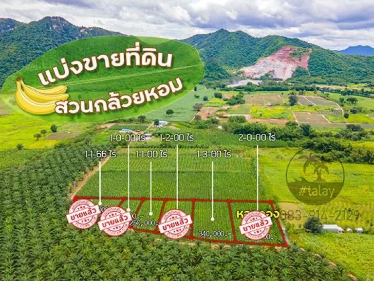 ที่ดินหัวหิน 500 ตารางวา 240000 บาท