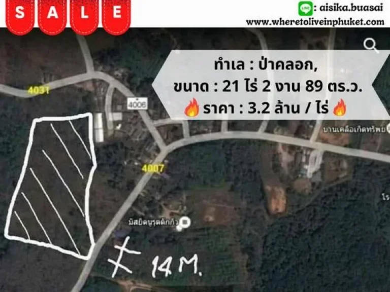 For Sales Land Thalang Paklok 21 Rai