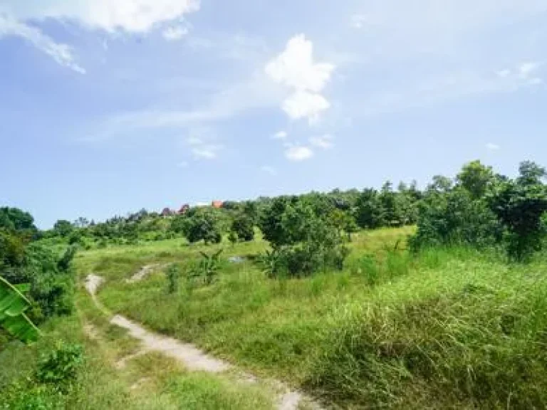 ที่ดินเกาะสมุย ใกล้หาดเชิงมนต์ ย่านโรงแรม 5ดาว