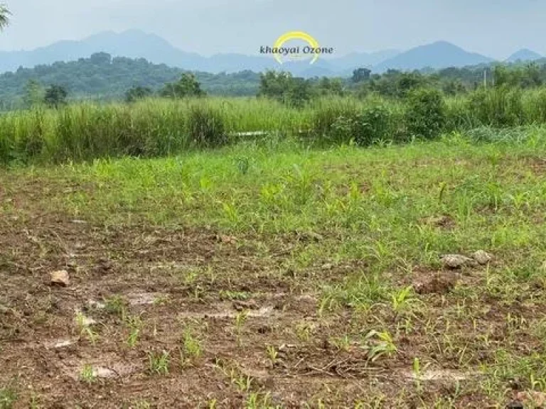 ที่ดินเขาวง หนองน้ำแดง เขาใหญ่ 5 ไร่ ติดถนนลาดยาง 2 ด้าน วิวภูเขา 360 องศา น้ำ ไฟพร้อม