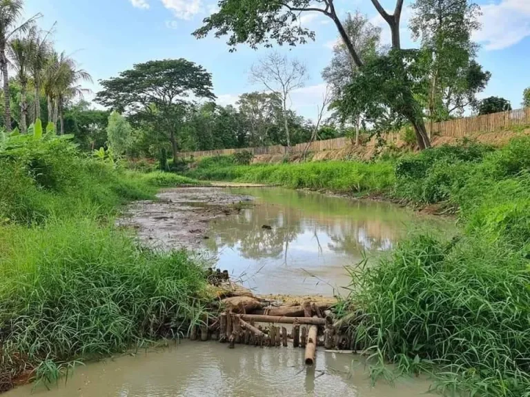 ขายที่ดินติดแม่น้ำกวงลวงเหนือดอยสะเก็ตพร้อมโอน