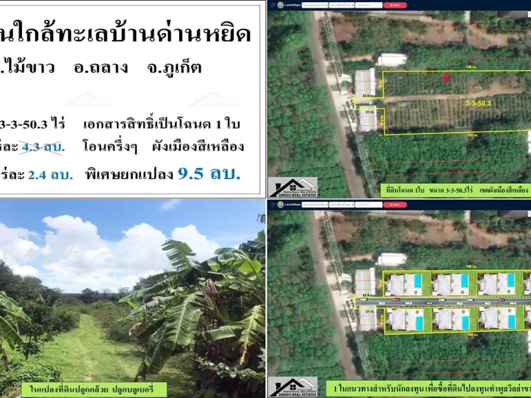 ขายที่ดิน3-3-503ไร่ ใกล้ทะเลบ้านด่านหยิด ผังสีเหลือง เหมาะทำวิลล่า-ซื้อเก็บ