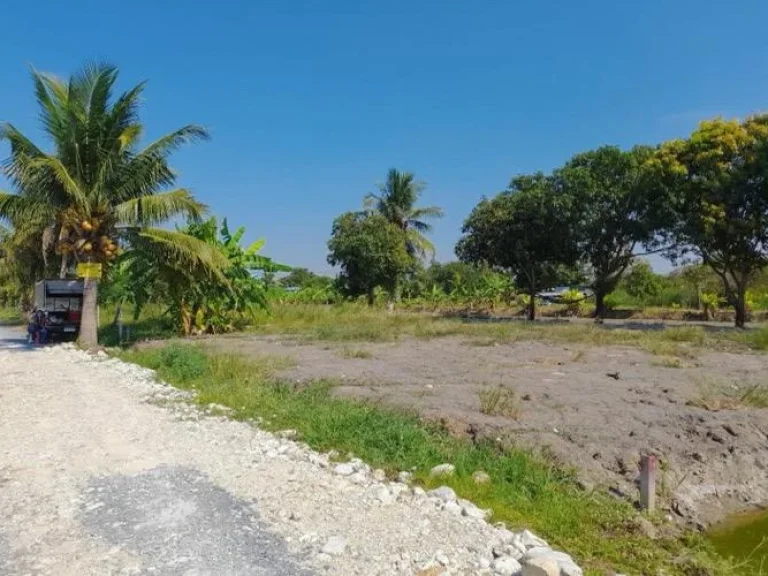 ขายที่ดิน บ้านกล้วย-ไทรน้อย 100 ตรว ไทรน้อย นนทบุรี