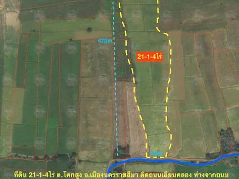 ขายที่ดินโคกสูง ใกล้ถนนบายพาส 204 เนื้อที่ 21-1-4ไร่