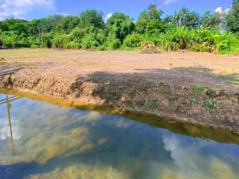 ที่ดินสวยๆ วิวดี ติดแม่น้ำ 50ตรว เชียงใหม่สารภี