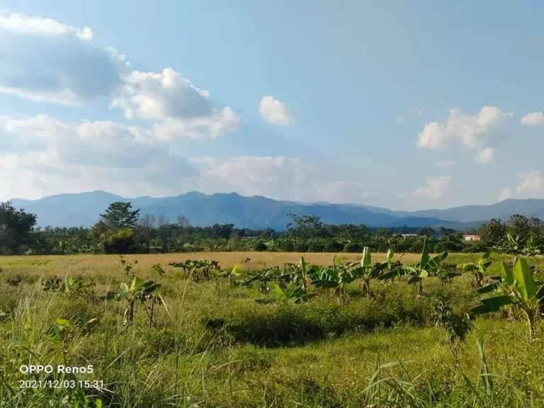 ขายที่สวนน้ำบ่อหลวง สันป่าตอง วิวดอย โฉนดพร้อมโอน