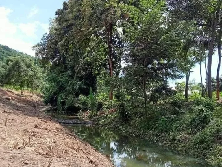 ขายที่ดินด้านหน้าวิวดอย ล้อมรอบลำห้วยหางดงราคาถูก