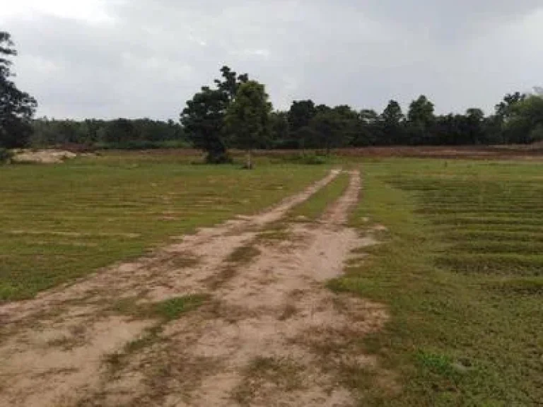 ขายที่ดิน ใกล้สถานีขนส่งจังหวัดตาก ถนนพหลโยธิน อเมืองตาก จตาก