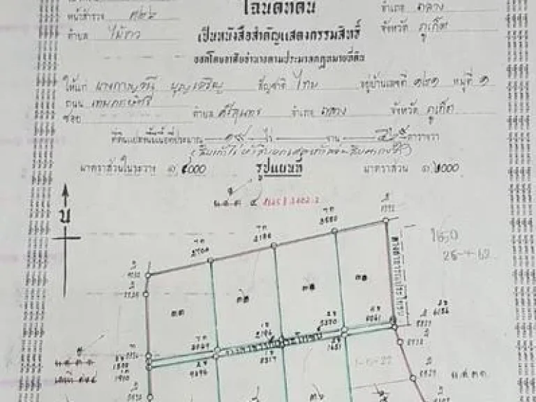 ที่ดิน 19 ไร่ บ้านหยิด ถลาง ภูเก็ต แบ่งขายได้