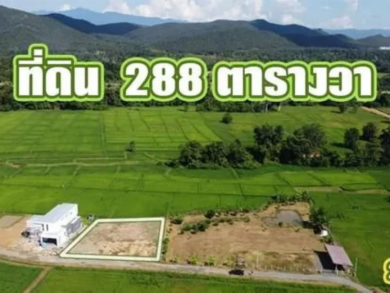 ขายที่ดินวิวดอย360องศา และวิวทุ่งนาพร้อมสร้างบ้าน