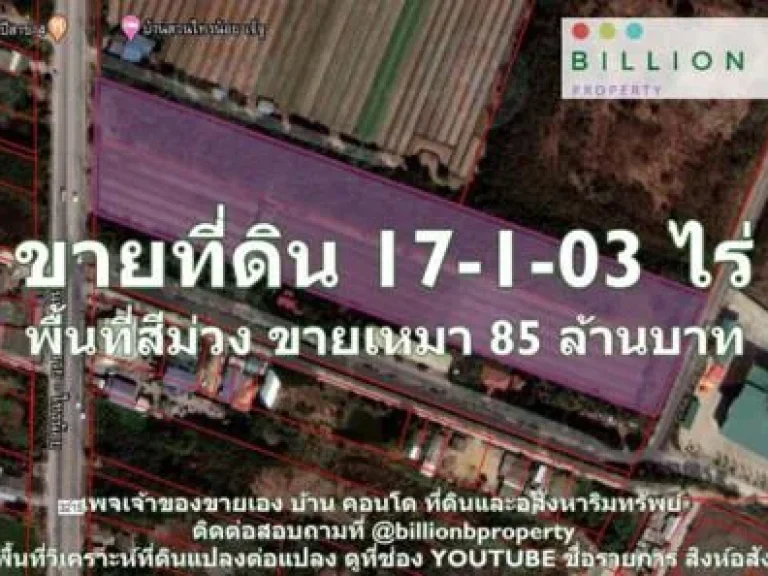 ขาย ที่ดิน ที่ดิน เนื้อที่ 17-1-03 ไร่ 17 ไร่ 1 งาน 03 ตรวา