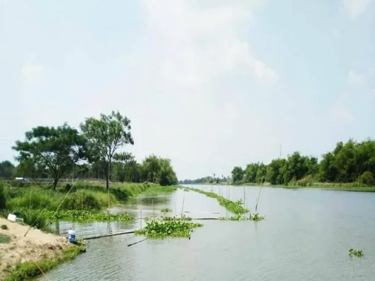 ขายที่ติดถนนใหญ่ติดแม่น้ำท่าจีน1 ไร่ๆ55ลถม