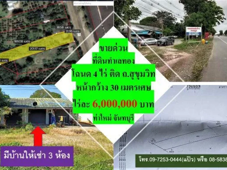 ขายที่ดิน บ้านให้เช่า 3 ห้อง โฉนด 4 ไร่ พิกัด เขาบายศรี ท่าใหม่ จันทบุรี ไร่ละ 6 ล้าน