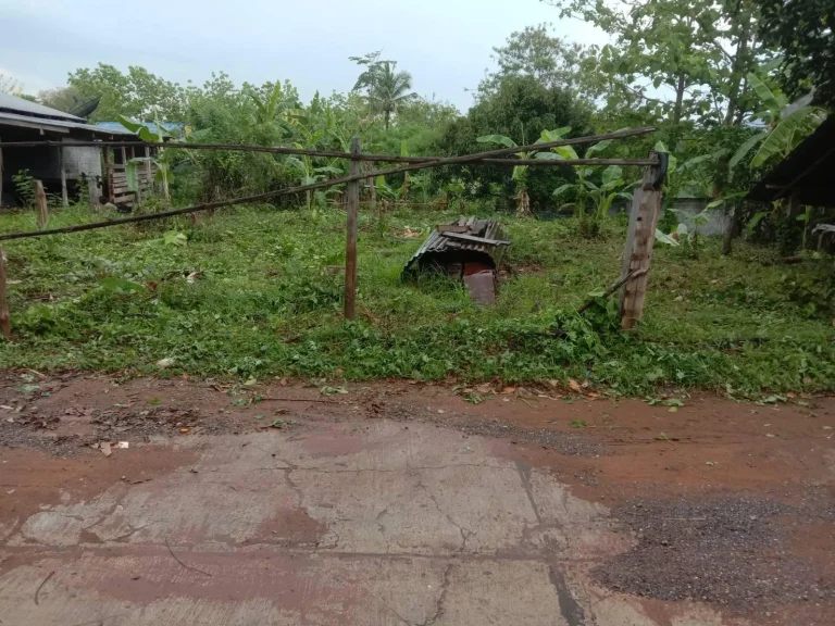 ขายที่ดินสำหรับสร้างบ้านโฉนด 106 ตรว บ้านห้วยไผ่ ตห้วยส้ม อภูกระดึง จเลย