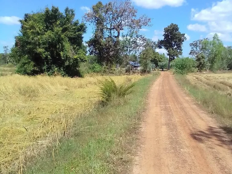 ที่ดิน5ไร่ บหนองขอน ตม่วงสามสิบขายแล้ว