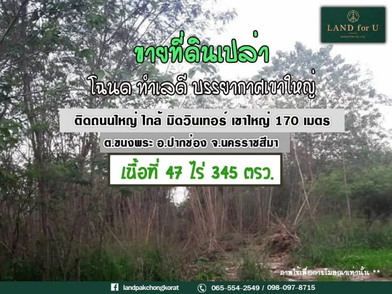 ขายที่ดินเขาใหญ่ปากช่อง ขายที่ดินเขาใหญ่ระหว่างกม5กับกม6 ติดถนนธนะรัชต์ ด้านขวาติดร้านอาหารมิดวินเทอร์เขาใหญ่