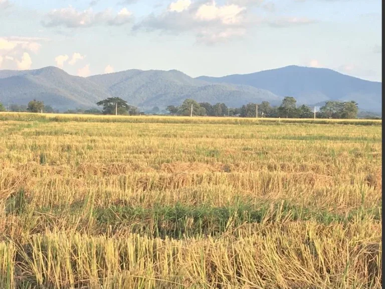 ขายที่ดิน 2 ไร่ วิวภูเขา อากาศดี