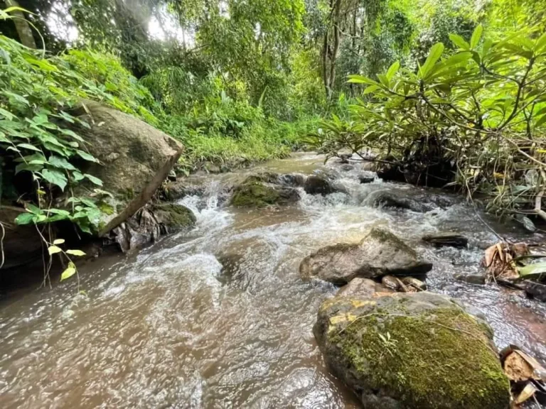 ขายที่ดินติดลำธารน้ำโขดหิน สะเมิงเหนือ สะเมิง พร้อมโอน