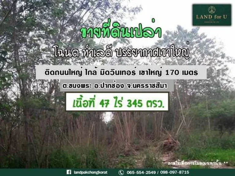 ขายที่ดินเขาใหญ่ปากช่อง ขายที่ดินเขาใหญ่ระหว่างกม5กับกม6 ติดถนนธนะรัชต์ ด้านขวาติดร้านอาหารมิดวินเทอร์เขาใหญ่