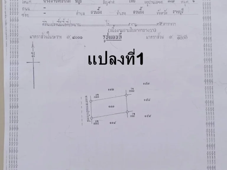 ที่ดิน 135 ตารางวาสำหรับปลูกบ้านพักอาศัยราคาเพียง 3แสน