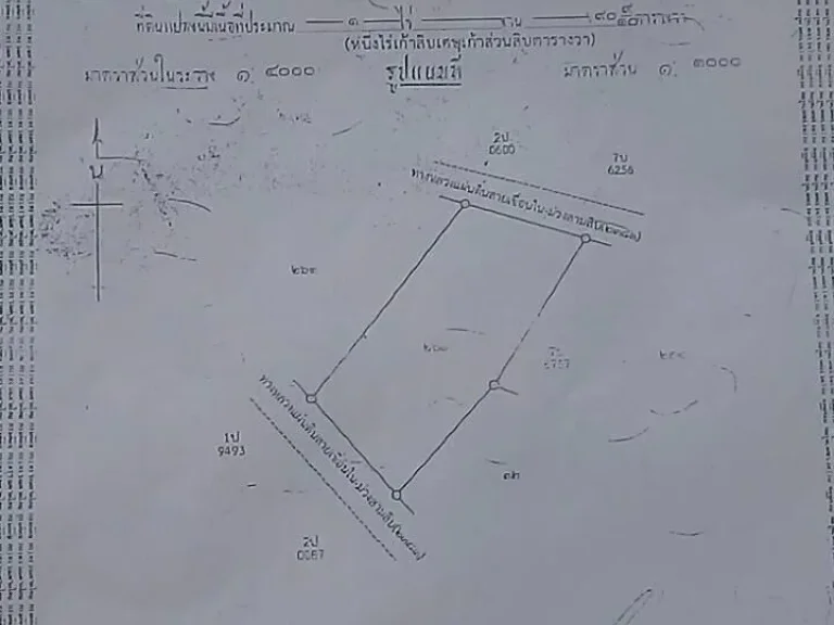 ขายที่ดิน 2 แปลง แปลง 4 และ 1 ไร่ ติดถนนเส้นอใเขื่องใน - อม่วงสามสิบ เขตบหนองสุ่ม อม่วงสามสิบ จอุบลราชธานี