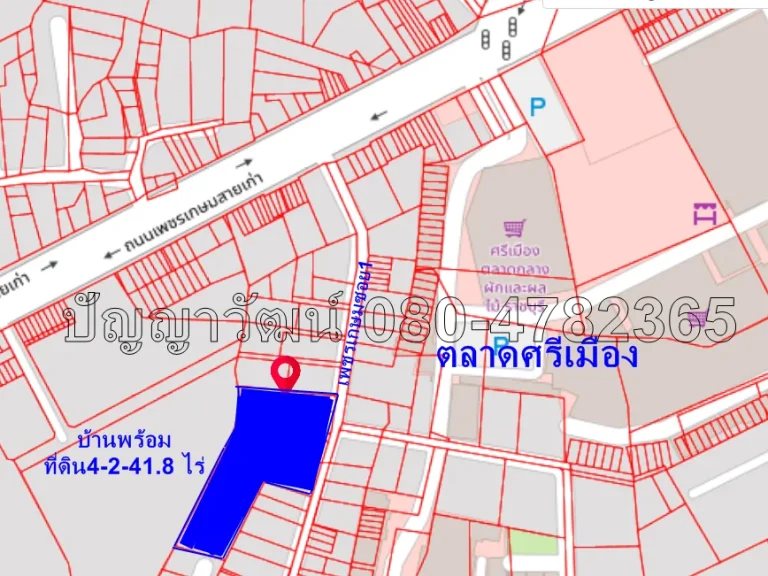 ขายที่ดิน4ไร่2งาน42ตรวา ในซอยเพชรเกษม1 ใกล้ตลาดศรีเมืองราชบุรี