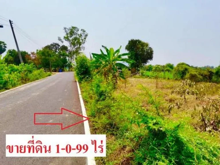 ขายที่ดิน 1-0-99 ไร่ สรรคบุรี จชัยนาท