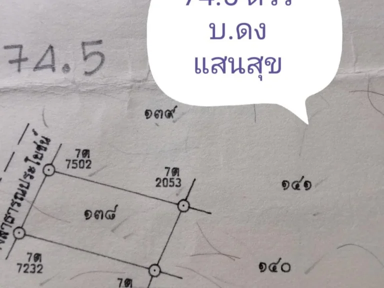 ขายที่ดิน 745 ตรว ดงแสนสุข