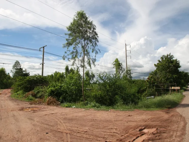 ขายที่ดินเปล่าเกือบ 80 ไร่ ตำบลกุมภวาปี อำเภอกุมภวาปี จังหวัดอุดรธานี