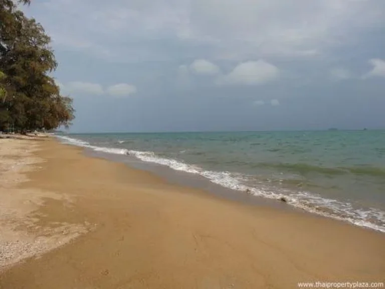  ขายที่ดินติดทะเล 2 ไร่เศษ ติดชายหาดเดินลงทะเลได้เลย