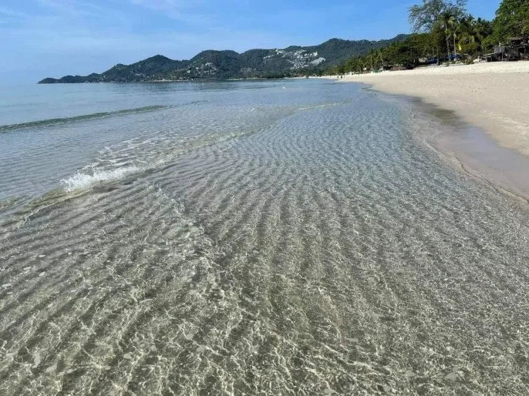 ขายที่ดินเกาะสมุยติดทะเลชายหาดเฉวงสวยมาก 15ไร่