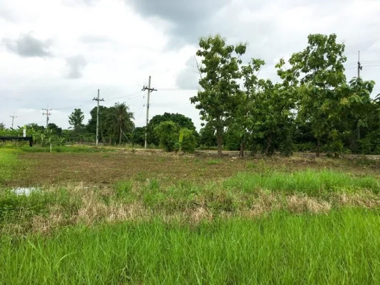 ขายที่ดินลำพูน แปลงมุมติดถนน ลำน้ำใช้ฟรีตลอดปี