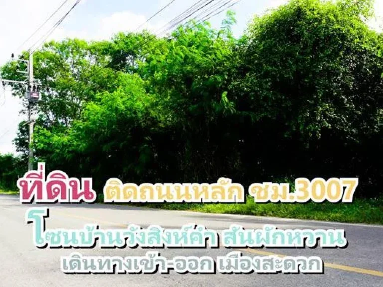 ขายที่ดิน ติดถนนหลัก ชม3007 โซนบ้านวังสิงห์คำ ตสันผักหวาน