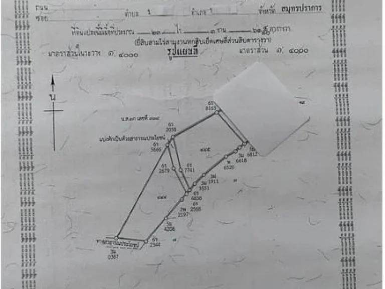 ขายพื้นที่การเกษตร