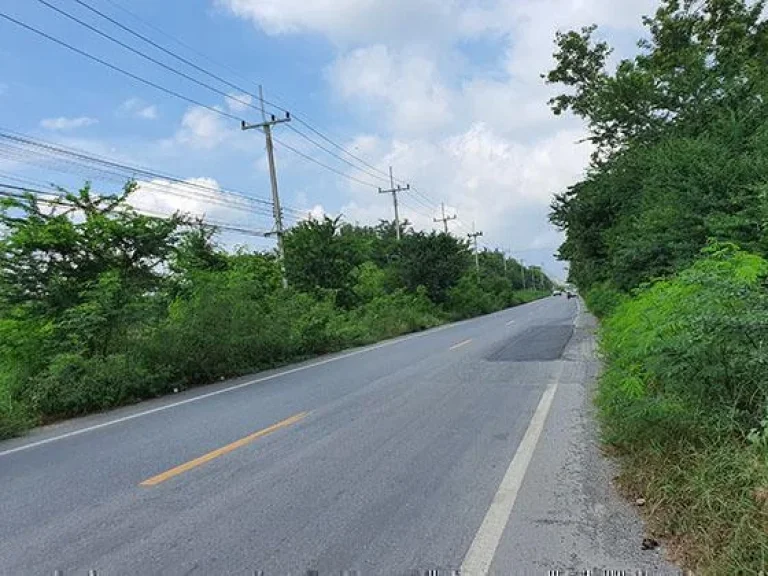 ฮวงจุ้ยดี เหมาะกับธุรกิจริมถนน ติดทางราดยาง 2 เลนน์ บางหลวง- บางเลน-วัดไผ่ ยาว 132 เมตร พื้นที่ 20 ไร่เศษ