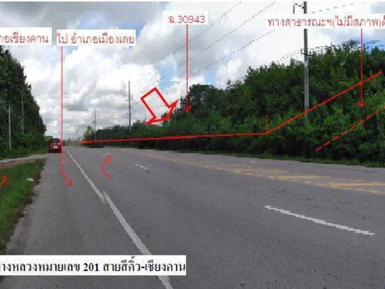 9595 - ขายที่ดินเปล่า เชียงคาน 5 แปลง