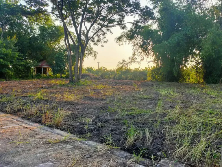 ขายที่ดินติดคลองธรรมชาติ แปลงสวย คลอง 12 ธัญบุรี