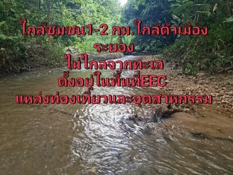 ที่ดินติดลำธารบ้านค่าย ระยอง