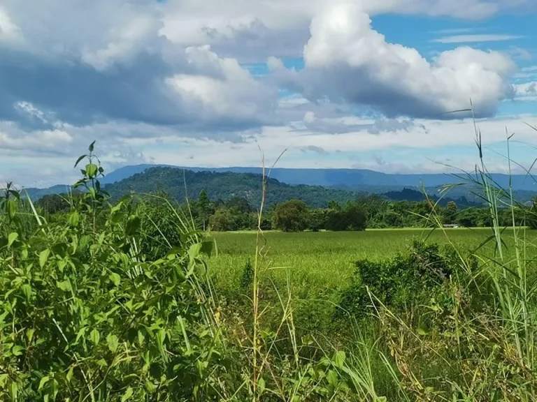 ที่ดินวิวเขาปากพลีนครนายก