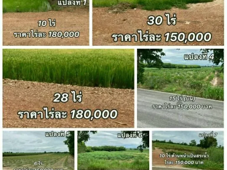 ขายที่ดินราคาถูกติดทางสาธารณะ ในอำเภอเมือง จังหวัดกำแพงเพชร