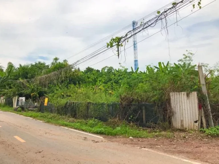 ขายที่ดิน 100 ตรว ติดถนนลาดยาง ใกล้ ถวัดลาดปลาดุก